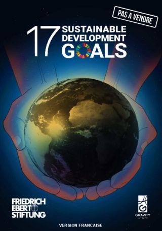 17 sustainable development goals